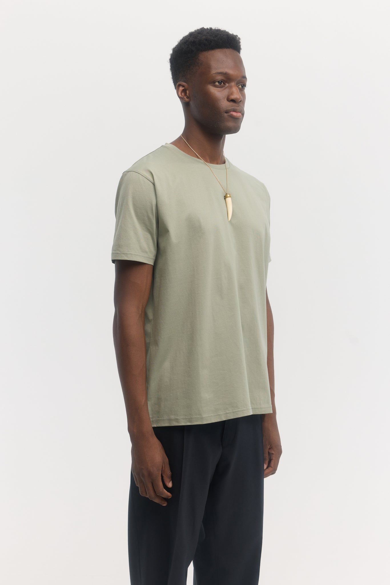 Sage mercerized organic cotton crewneck t-shirt